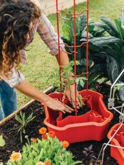 Deluxe Tomato Halos, Set Of 2 12 Deluxe Tomato Halos, Set Of 2 -Green Leaf Tools & Supplies Sales Store 8612045 135 tif