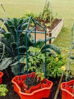 Deluxe Tomato Halos, Set Of 2 13 Deluxe Tomato Halos, Set Of 2 -Green Leaf Tools & Supplies Sales Store 8612045 221 tif