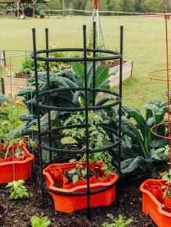 Deluxe Tomato Halos, Set Of 2 14 Deluxe Tomato Halos, Set Of 2 -Green Leaf Tools & Supplies Sales Store 8612045 228 tif