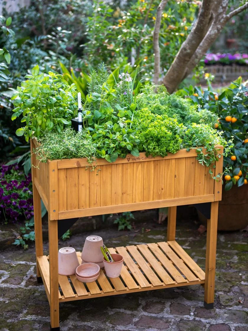 VegTrug® Self-Watering Herb Planter Box 1 VegTrug® Self-Watering Herb Planter Box