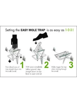 Easy Mole Trap -Green Leaf Tools & Supplies Sales Store 8612557 04v 1