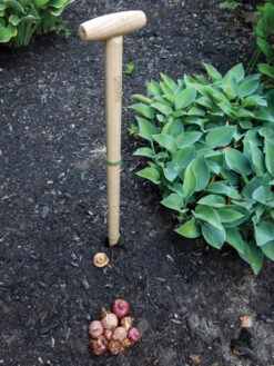 Wicked Big Dibber -Green Leaf Tools & Supplies Sales Store 8612667 0028