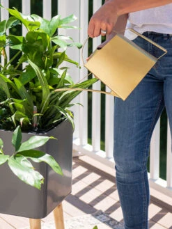 Precision Brass Watering Can -Green Leaf Tools & Supplies Sales Store 8612691 0011 1