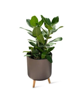 Ava Self-Watering Round Planter -Green Leaf Tools & Supplies Sales Store 8612692 0003