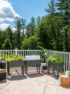 Self-Watering Standing Salad Planter With Cloche -Green Leaf Tools & Supplies Sales Store 8612702 2002 tif