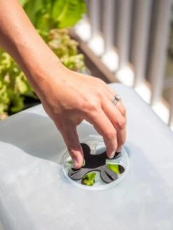 Self-Watering Standing Salad Planter With Cloche -Green Leaf Tools & Supplies Sales Store 8612702 2034 tif