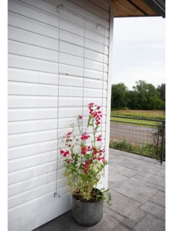 Chicken Wire Wall Trellis 14 Chicken Wire Wall Trellis -Green Leaf Tools & Supplies Sales Store 8612717 0081