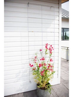 Chicken Wire Wall Trellis 13 Chicken Wire Wall Trellis -Green Leaf Tools & Supplies Sales Store 8612717 0093