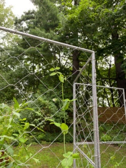 Chicken Wire Pea Trellis 18 Chicken Wire Pea Trellis -Green Leaf Tools & Supplies Sales Store 8612718 7302