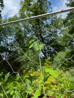 Chicken Wire Pea Trellis 17 Chicken Wire Pea Trellis -Green Leaf Tools & Supplies Sales Store 8612718 7311