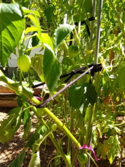 Farmyarn® Multipurpose Garden Tie, 2 Pack -Green Leaf Tools & Supplies Sales Store 8612948 02v