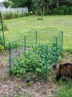 6 Panel Critter Fence With Gate -Green Leaf Tools & Supplies Sales Store 8612967 2570 tif