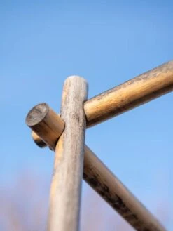 Tomato Six Pack Support -Green Leaf Tools & Supplies Sales Store 8613143 0385 2