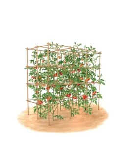 Tomato Six Pack Support -Green Leaf Tools & Supplies Sales Store 8613143 art flat