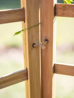 Bamboo Zig-Zag Trellis 24" X 36" -Green Leaf Tools & Supplies Sales Store 8613151 6483