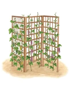 Bamboo Zig-Zag Trellis 24" X 36" -Green Leaf Tools & Supplies Sales Store 8613151 art flat