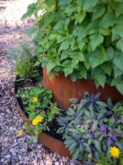 Birdies™ Corten Steel Tiered Round Raised Bed Kit, Tall -Green Leaf Tools & Supplies Sales Store 8613245 0195