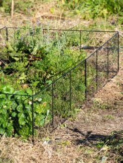 Chicken Wire Critter Fence, 16" High -Green Leaf Tools & Supplies Sales Store 8613249 0336