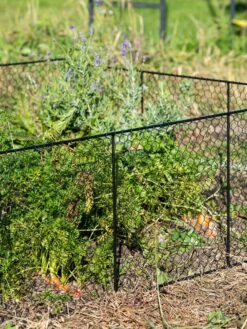 Chicken Wire Critter Fence, 16" High -Green Leaf Tools & Supplies Sales Store 8613249 0352
