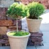 Self-Watering LavaStone® Anson Pot