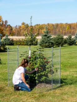 Tall Chicken Wire Critter Fence Extension Panel, Set Of 2 19 Tall Chicken Wire Critter Fence Extension Panel, Set Of 2 -Green Leaf Tools & Supplies Sales Store 8613260 0044 1