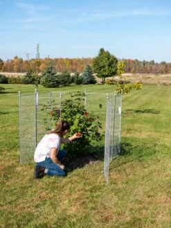 Tall Chicken Wire Critter Fence Extension Panel, Set Of 2 18 Tall Chicken Wire Critter Fence Extension Panel, Set Of 2 -Green Leaf Tools & Supplies Sales Store 8613260 0090