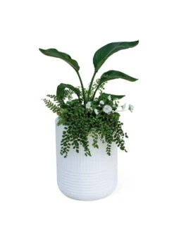Arden Round Planter -Green Leaf Tools & Supplies Sales Store 8613267 0115