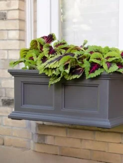 Fairfield Self-Watering Window Box, 2’ -Green Leaf Tools & Supplies Sales Store 8613268 08V tif