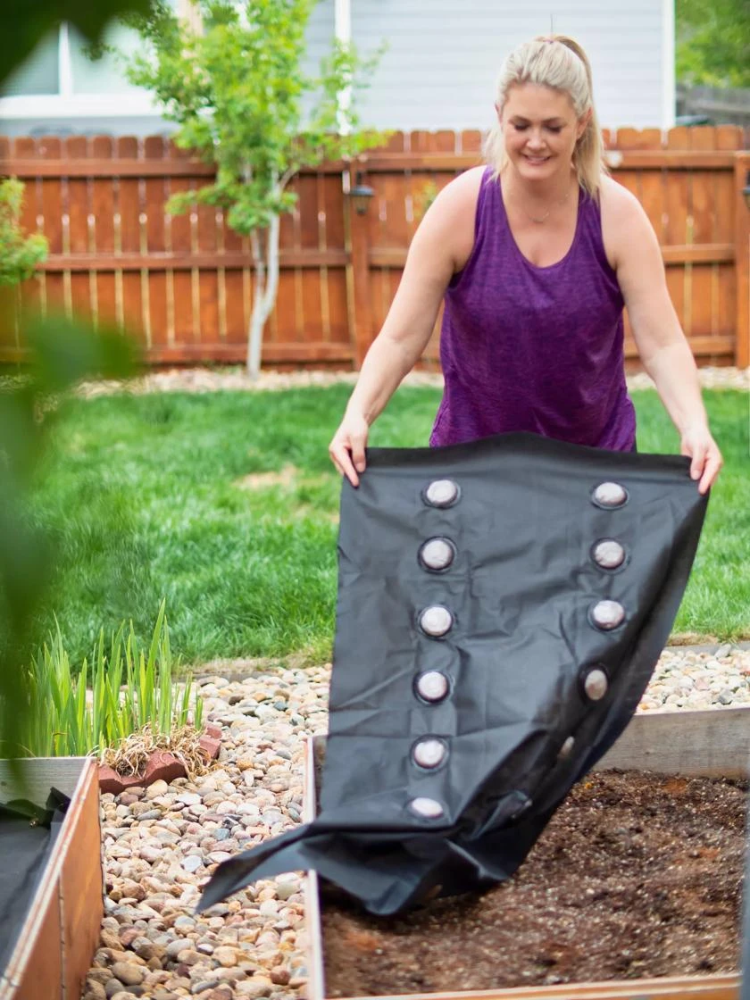 SeedSheets Organic Vegetable Garden, Spicy Sinola Salsa, 4' X 8' 4 SeedSheets Organic Vegetable Garden, Spicy Sinola Salsa, 4' X 8' - Image 4