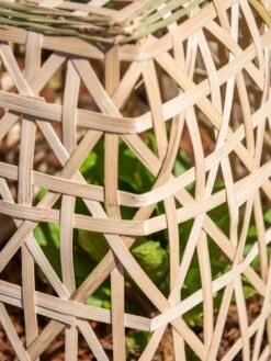 Bamboo Cloche, Set Of 2 -Green Leaf Tools & Supplies Sales Store 8613351 0153