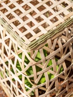 Bamboo Cloche, Set Of 2 -Green Leaf Tools & Supplies Sales Store 8613351 0154