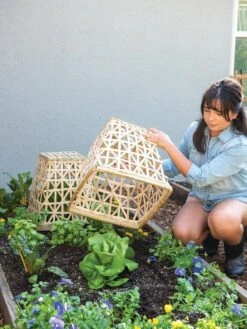 Bamboo Cloche, Set Of 2 -Green Leaf Tools & Supplies Sales Store 8613351 6862