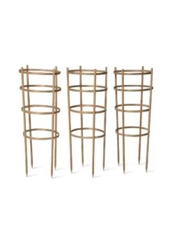 Bamboo Tomato Cages, Set Of 3 -Green Leaf Tools & Supplies Sales Store 8613426 4679 bamboo tomato cages 3