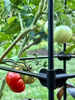 Oasis Self-Watering Tomato Planter With Trellis -Green Leaf Tools & Supplies Sales Store 8613440 01TEST