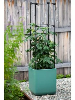 Oasis Self-Watering Tomato Planter With Trellis -Green Leaf Tools & Supplies Sales Store 8613440 0373 3 4