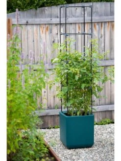 Oasis Self-Watering Tomato Planter With Trellis -Green Leaf Tools & Supplies Sales Store 8613440 0376 3 4