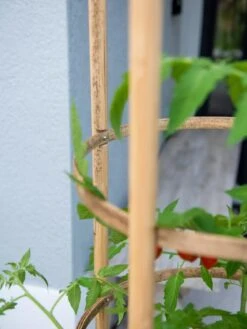 Elevated Bamboo Tomato Planter And Trellis -Green Leaf Tools & Supplies Sales Store 8613502 0423