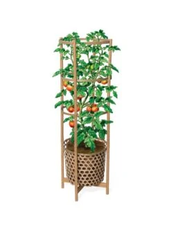 Elevated Bamboo Tomato Planter And Trellis -Green Leaf Tools & Supplies Sales Store 8613502 art flat