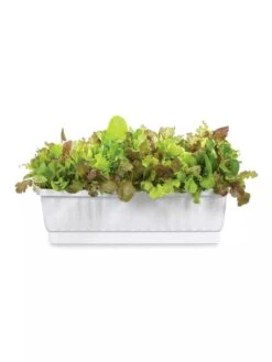 31" Self-Watering Window Box -Green Leaf Tools & Supplies Sales Store GS36523 01Z 3 4
