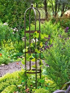 Jardin Bird Cage Support, 26" 8 Jardin Bird Cage Support, 26" -Green Leaf Tools & Supplies Sales Store GS39529 01 tif