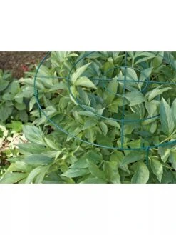 Grow Through Supports, Set Of 3 -Green Leaf Tools & Supplies Sales Store GS40172 01 1