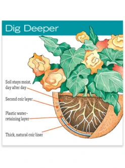 AquaSav™ Replacement Liners, Set Of 3 -Green Leaf Tools & Supplies Sales Store hiw 38 583