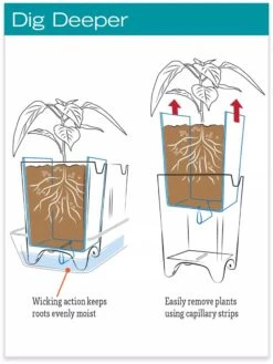 Stoneware Self-Watering Windowsill Planters, Set Of 2 -Green Leaf Tools & Supplies Sales Store hiw 8593943 jpg