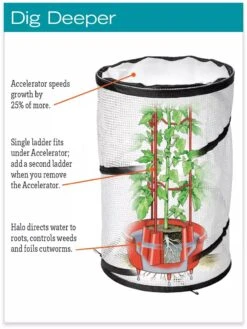 Tomato TLC Kits, Set Of 3 -Green Leaf Tools & Supplies Sales Store hiw 8594214 jpg