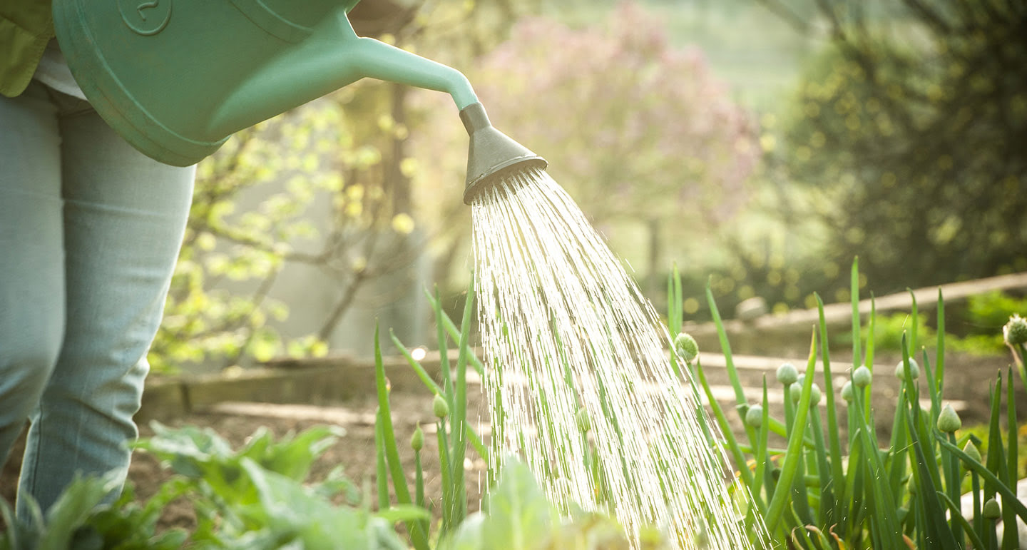 Green Leaf Tools & Supplies Sales Store -Green Leaf Tools & Supplies Sales Store water geven in de tuin